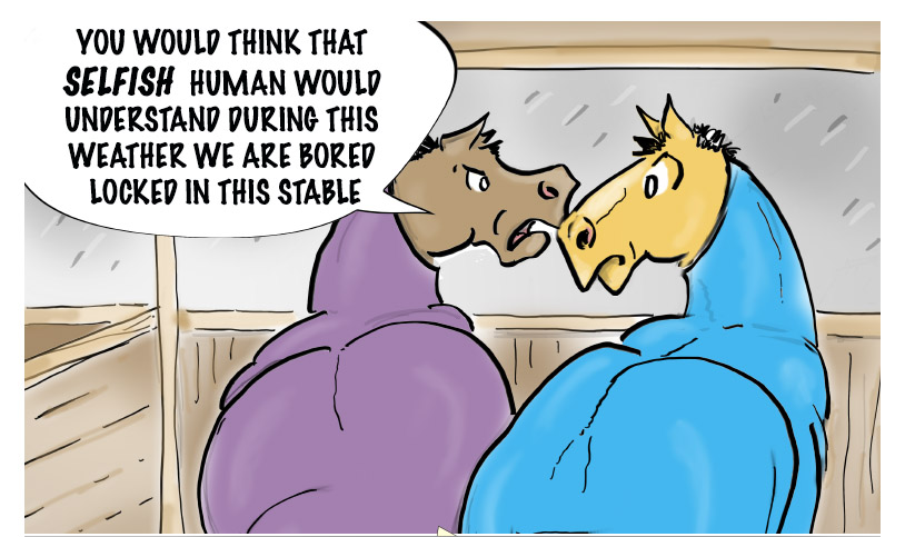 5 Tips for Winter Horse Care