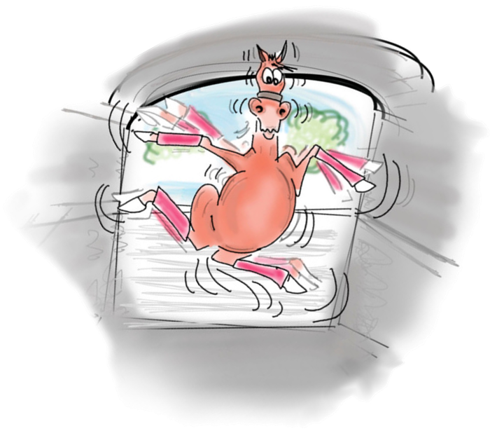 Preparing for a Safe Trip with Your Horse