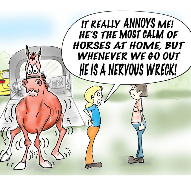 it really annoys me, he's the most calm horse at home, but whenever we go out he is a nervous wreak!