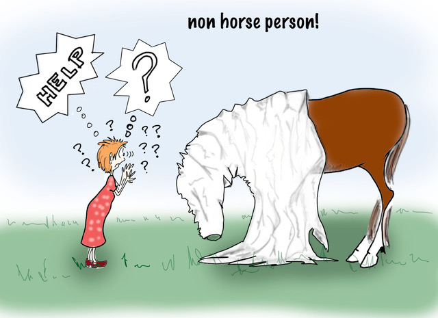 What to Look for in a Horse Sitter