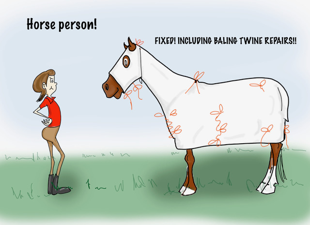 What to Look for in a Horse Sitter - Dependability