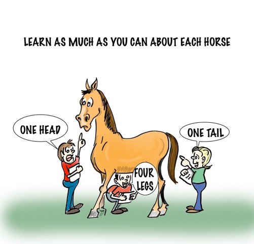 Horse Nanny Checklist