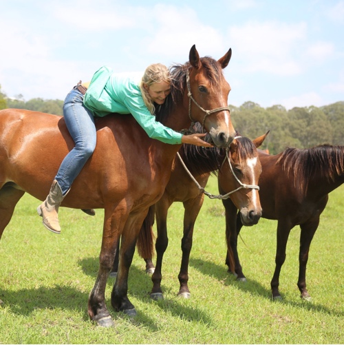 Offer Clemmie a Stable Away